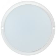 Светильник светодиодный ДПО 4002 12Вт IP54 4000K круг белый пластик IEK LDPO0-4002-12-4000-K01