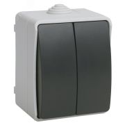 ФОРС Выключатель двухклавишный наружный IP54 EVS20-K03-10-54-DC