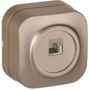 GLORY Розетка для открытой установки компьютерная RJ45 кат.5E РК10-ХШм шампань матовый IEK EKH10-K37M