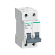 Выключатель автоматический двухполюсный (АВ) С 10А 2P 6kA 230В City9 Set C9F36210