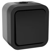 Выключатель кнопочный TORS 10А IP55 графит TS-V14-0-10-55-K53